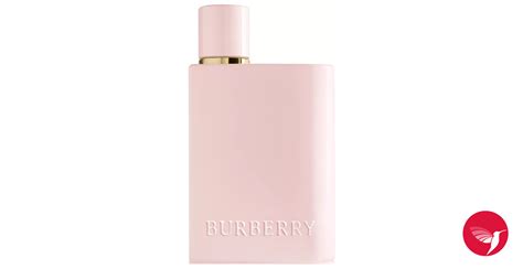 burberry to go perfume|Burberry her perfume 2022.